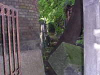 01Megyeri Krausz Mayer